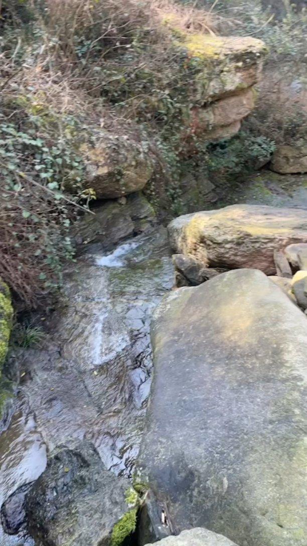媒体人:张琳艳没在水平更高的联赛站稳脚跟,未来还有机会留洋