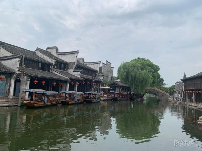 僵尸敲方块